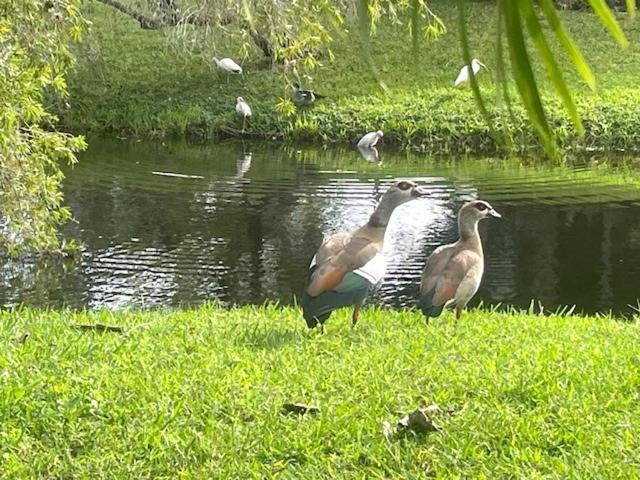 Coastal Townhome In Jupiter 1 Mile To Beach! 外观 照片
